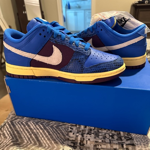 NIB - Nike Dunk Low SP DH6508-400 - Picture 11 of 11